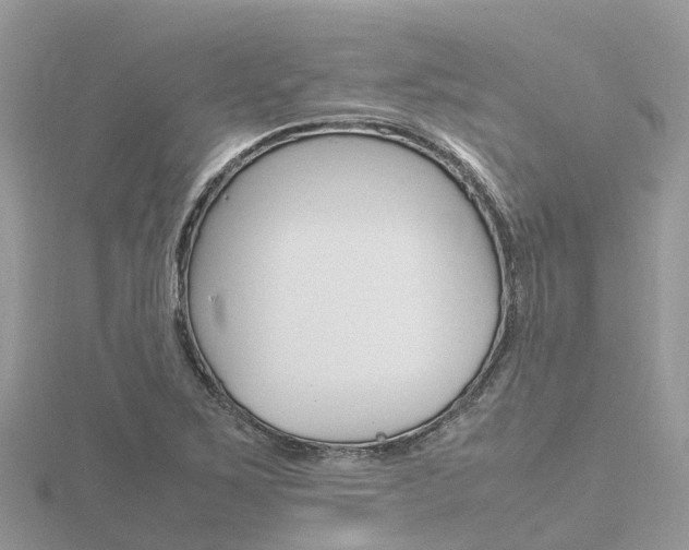 X0000116661267200912141019