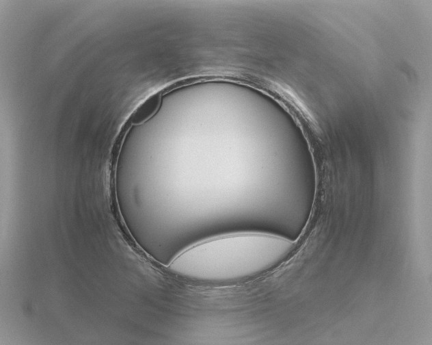 X0000116661268200912141019