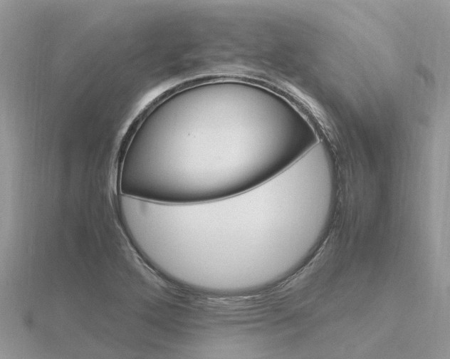 X0000116661272200912141019