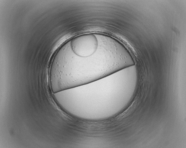 X0000116661274200912141019
