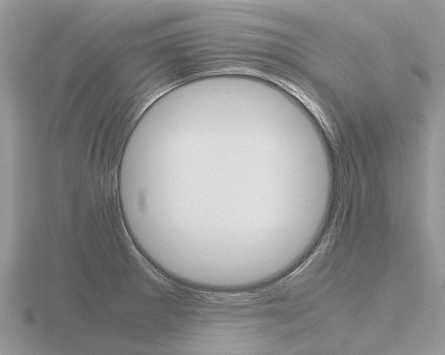 X0000116661281200912141019