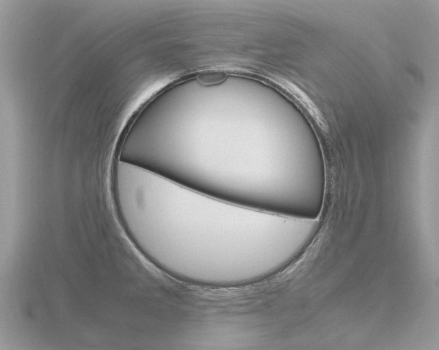 X0000116661285200912141019
