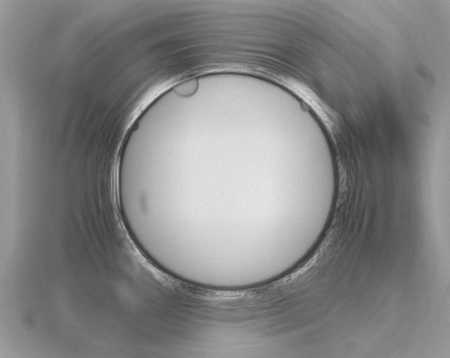 X0000116661290200912141019