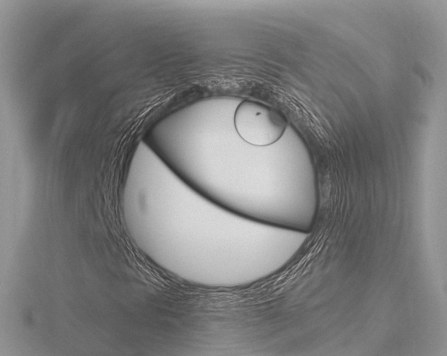 X0000116661297200912141018