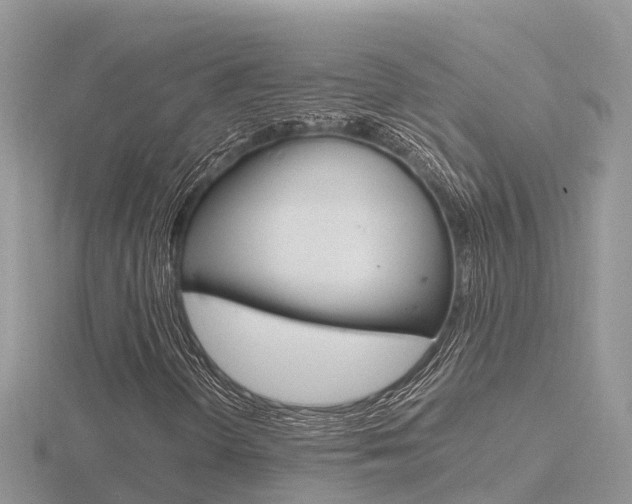 X0000116661298200912141018