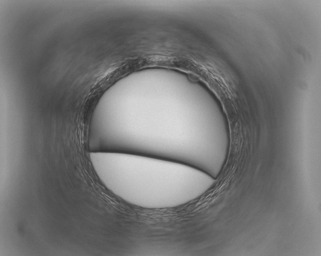 X0000116661301200912141018