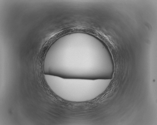 X0000116661303200912141018