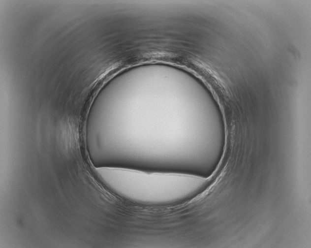 X0000116661305200912141018
