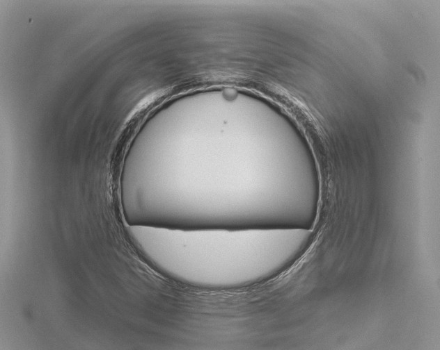 X0000116661306200912141018