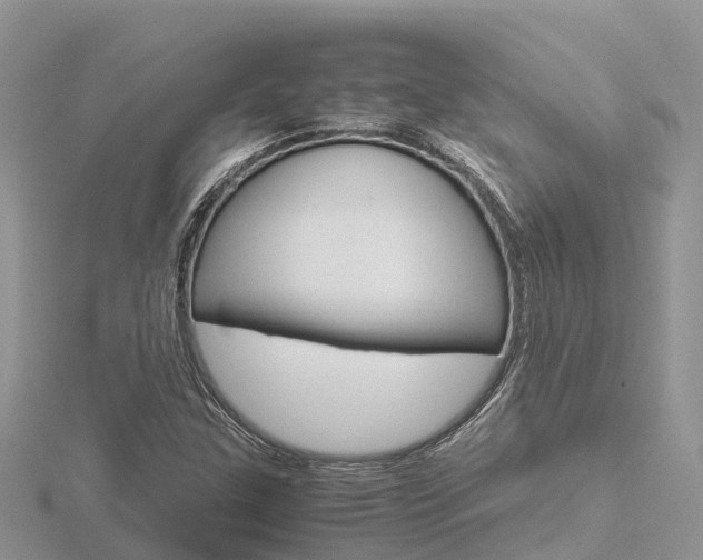 X0000116661307200912141018