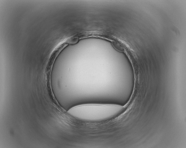 X0000116661309200912141018