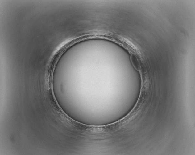 X0000116661310200912141018