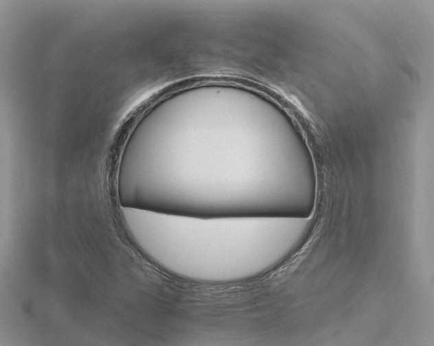 X0000116661311200912141018