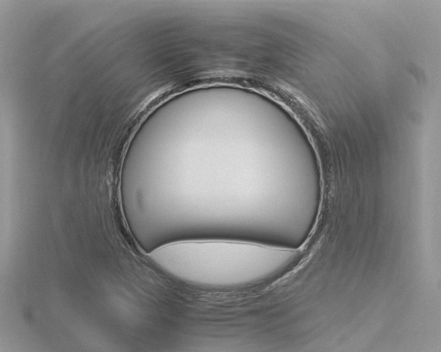 X0000116661313200912141018