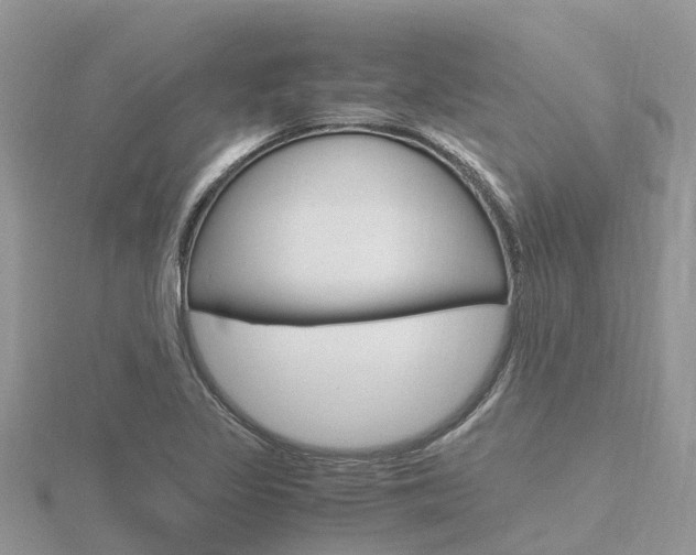 X0000116661317200912141018