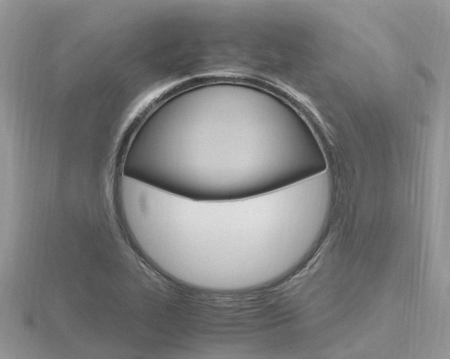 X0000116661319200912141018