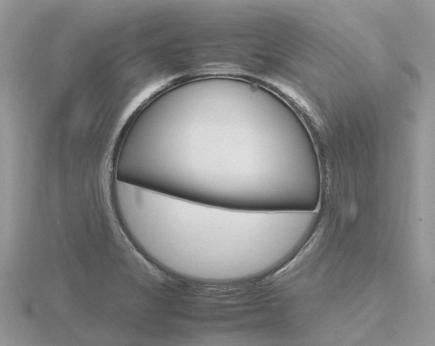 X0000116661325200912141018