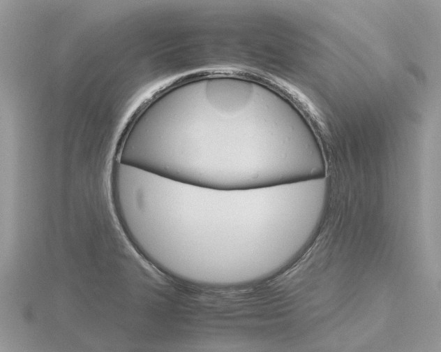 X0000116661327200912141018