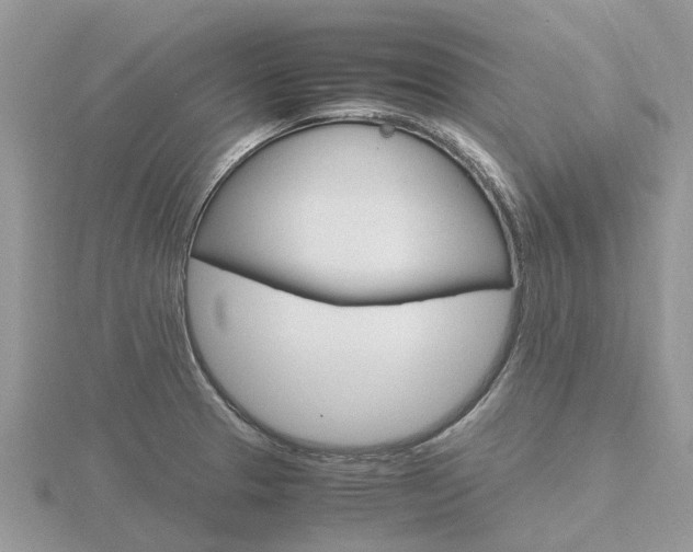 X0000116661329200912141018