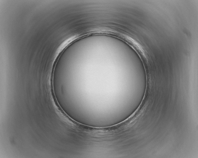 X0000116661330200912141019