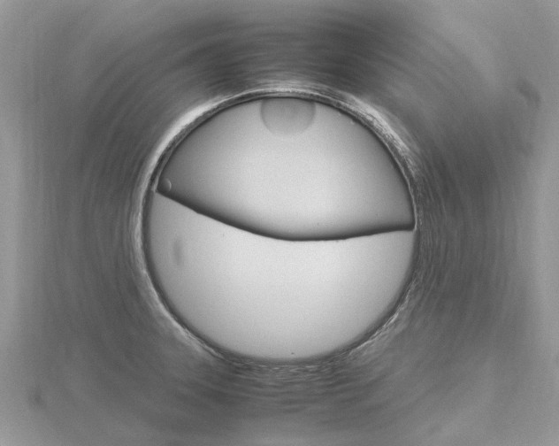 X0000116661331200912141019
