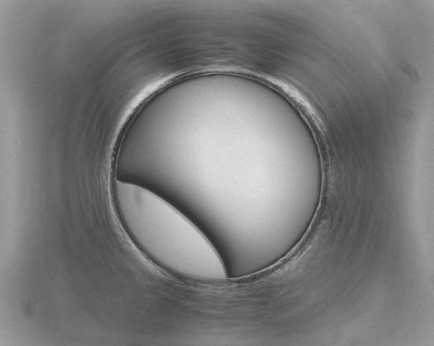 X0000116661333200912141019