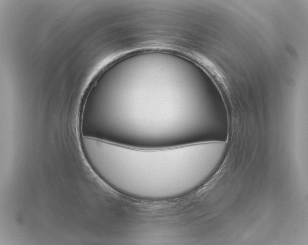 X0000116661334200912141019