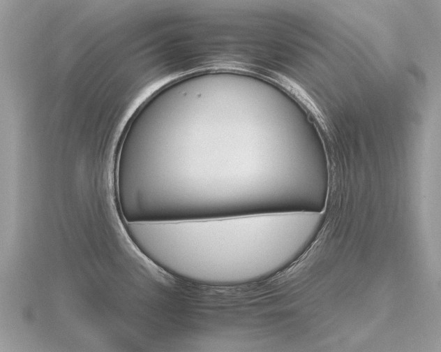 X0000116661339200912141019
