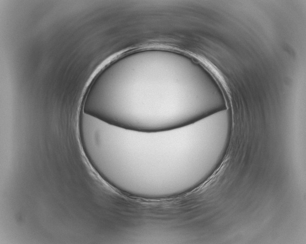 X0000116661341200912141019