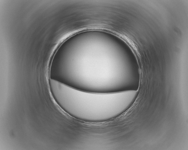 X0000116661342200912141019