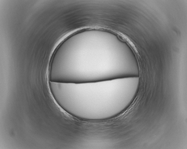 X0000116661343200912141019