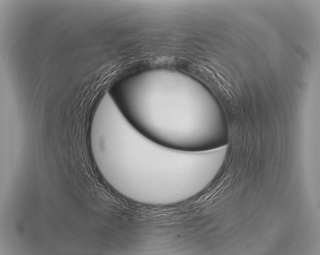 X0000116661345200912141018