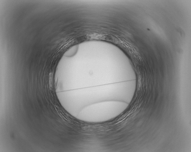 X0000116661346200912141018