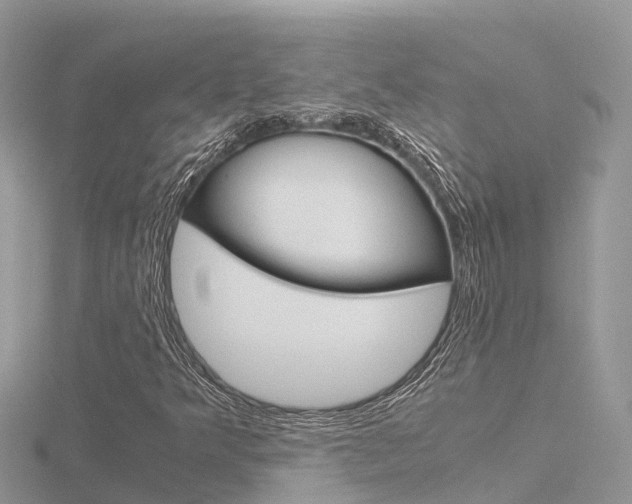 X0000116661349200912141018
