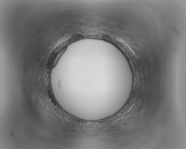 X0000116661350200912141018