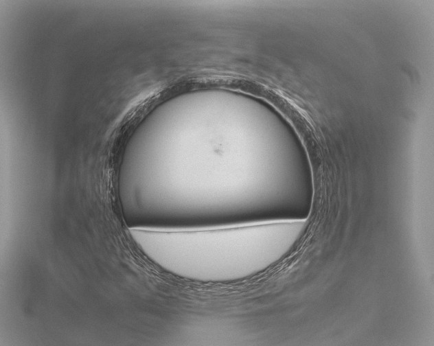 X0000116661351200912141018
