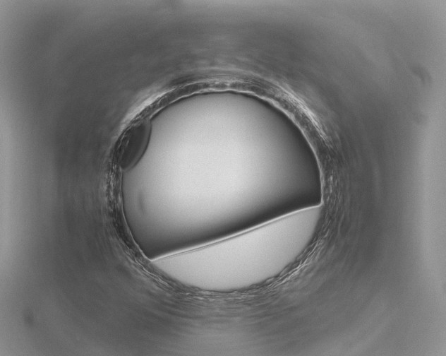 X0000116661352200912141018