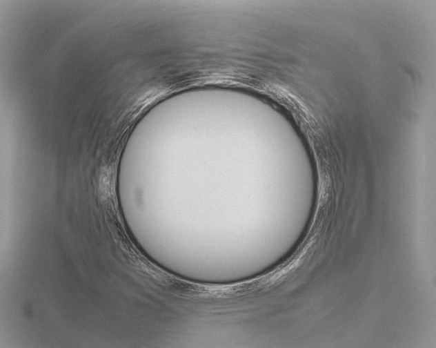 X0000116661353200912141018