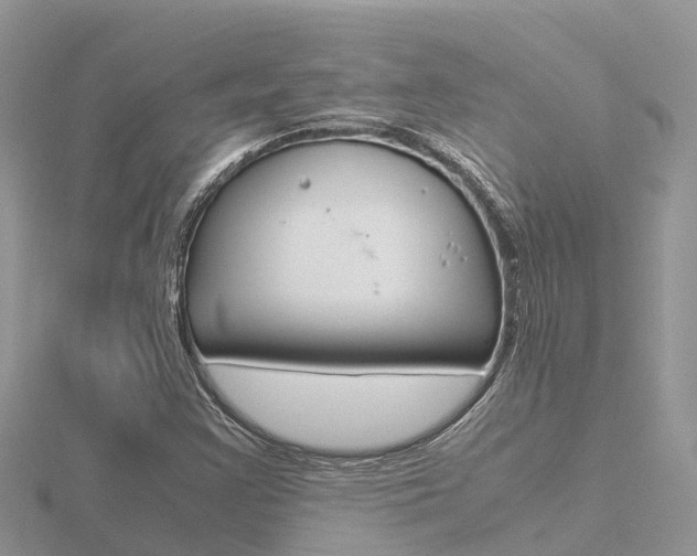 X0000116661355200912141018