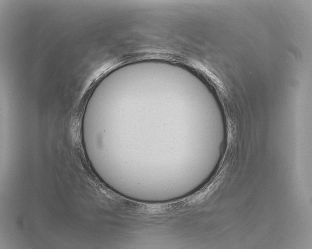 X0000116661357200912141018