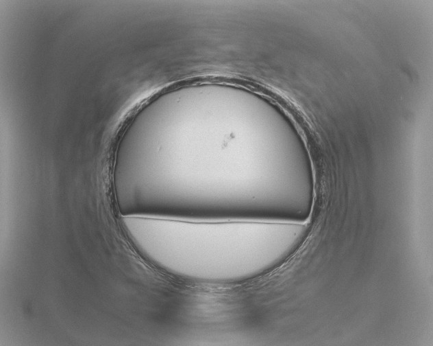 X0000116661359200912141018