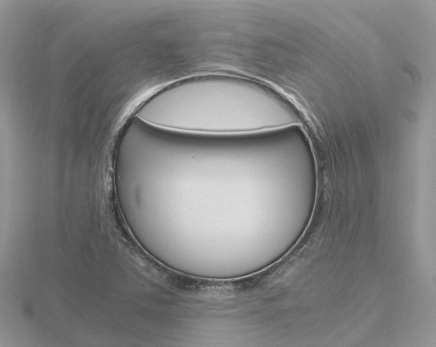X0000116661363200912141018