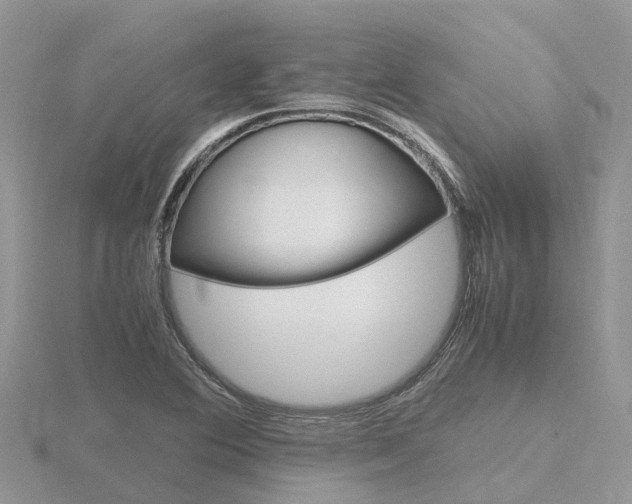 X0000116661364200912141018