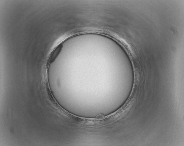 X0000116661365200912141018