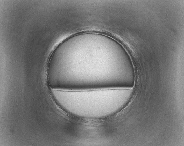 X0000116661367200912141018