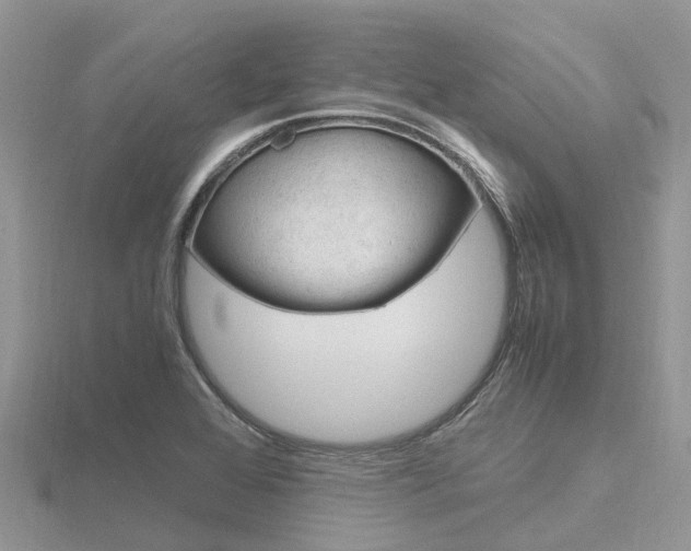 X0000116661368200912141018