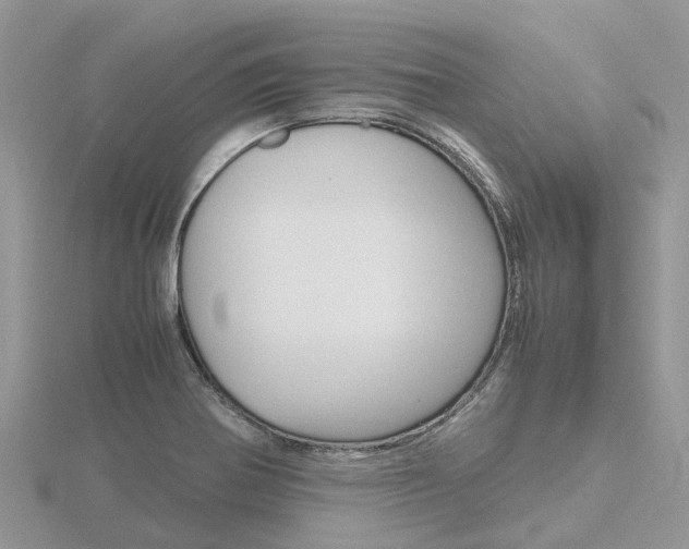 X0000116661370200912141018