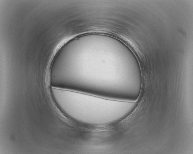 X0000116661371200912141018