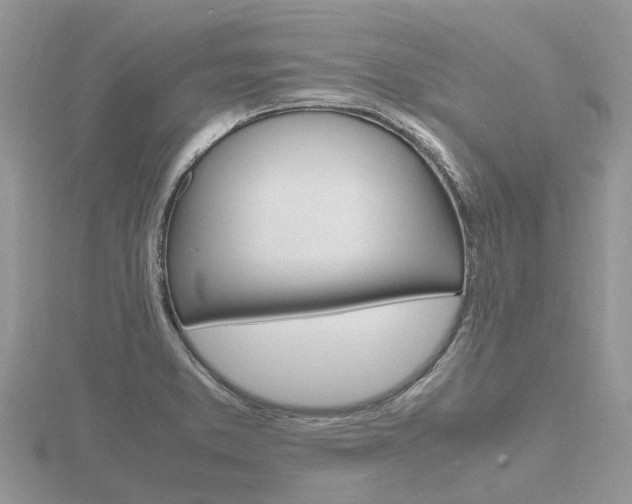 X0000116661373200912141018