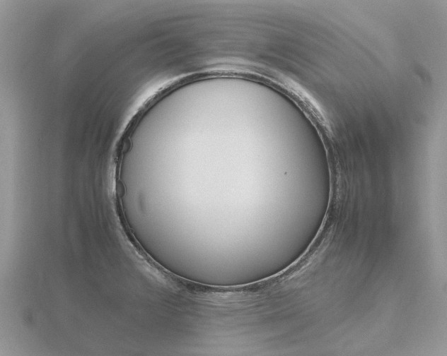 X0000116661376200912141018